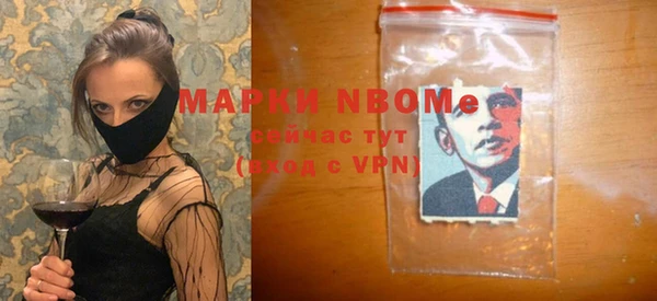 индика Балахна