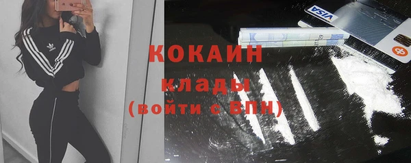 индика Балахна