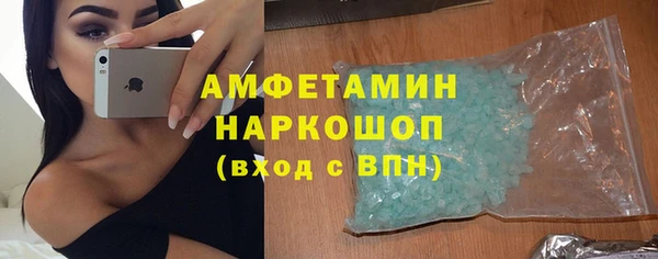 индика Балахна