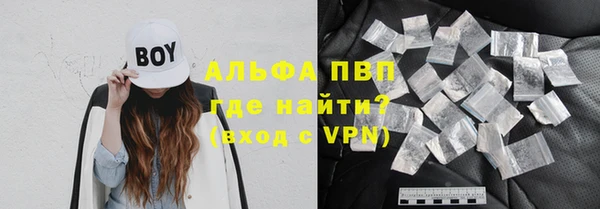 индика Балахна