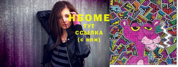 индика Балахна