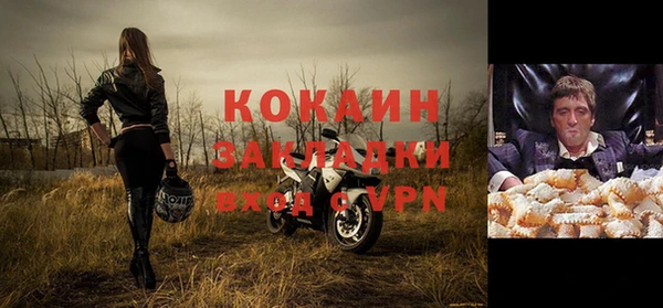 индика Балахна