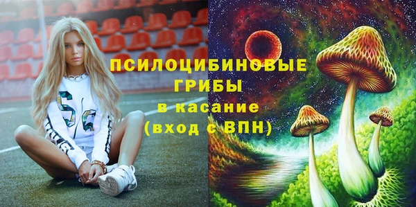 индика Балахна