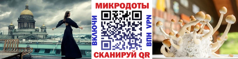 Галлюциногенные грибы прущие грибы  где купить   Сельцо 